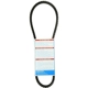 Purchase Top-Quality Power Steering Belt by DAYCO - 17295 pa6