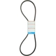 Purchase Top-Quality Power Steering Belt by DAYCO - 17550 pa25