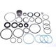 Purchase Top-Quality Power Steering Gear Rebuild Kit by SUNSONG NORTH AMERICA - 8401458 pa1
