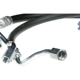 Purchase Top-Quality SUNSONG NORTH AMERICA - 3403942 - Power Steering Hose pa2