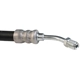 Purchase Top-Quality SUNSONG NORTH AMERICA - 3401768 - Power Steering Hose Assemblies pa2