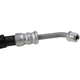 Purchase Top-Quality SUNSONG NORTH AMERICA - 3401769 - Power Steering Pressure Line Hose Assembly pa3