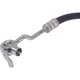 Purchase Top-Quality SUNSONG NORTH AMERICA - 3402675 - Power Steering Pressure Hose pa6