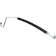 Purchase Top-Quality URO - 1079975482 - Power Steering Hose pa3
