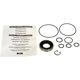 Purchase Top-Quality Power Steering Pump Seal Kit by EDELMANN - 8760 pa1