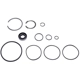 Purchase Top-Quality Power Steering Pump Seal Kit by SUNSONG NORTH AMERICA - 8401007 pa1