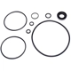 Purchase Top-Quality SUNSONG NORTH AMERICA - 8401019 - Power Steering Pump Seal Kit pa1