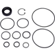 Purchase Top-Quality SUNSONG NORTH AMERICA - 8401079 - Power Steering Pump Seal Kit pa1