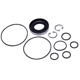 Purchase Top-Quality SUNSONG NORTH AMERICA - 8401112 - Power Steering Pump Seal Kits pa1