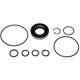 Purchase Top-Quality SUNSONG NORTH AMERICA - 8401213 - Power Steering Pump Seal Kit pa1