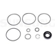 Purchase Top-Quality Power Steering Pump Seal Kit by SUNSONG NORTH AMERICA - 8401320 pa1