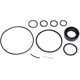 Purchase Top-Quality SUNSONG NORTH AMERICA - 8401414 - Power Steering Pump Seal Kit pa1