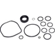 Purchase Top-Quality SUNSONG NORTH AMERICA - 8401485 - Power Steering Pump Seal Kit pa1