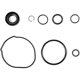 Purchase Top-Quality SUNSONG NORTH AMERICA - 8401503 - Power Steering Pump Seal Kit pa1