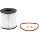 Purchase Top-Quality FRAM - XG10066 - OIL FILTER pa1