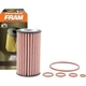 Purchase Top-Quality FRAM - XG8481 - Premium Oil Filter pa5