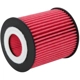 Purchase Top-Quality K & N ENGINEERING - HP7013 - OIL FILTER pa2