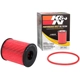 Purchase Top-Quality Premium Oil Filter by K & N ENGINEERING - HP7041 pa3