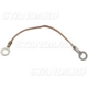 Purchase Top-Quality Primary Ground Wire by BLUE STREAK (HYGRADE MOTOR) - FDL10 pa2
