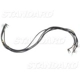 Purchase Top-Quality Primary Wire by BLUE STREAK (HYGRADE MOTOR) - DDL36 pa3