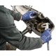 Purchase Top-Quality ANSELL - 11925100 - Nitrile Ultra-Light Multi-Purpose Glove pa2