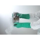 Purchase Top-Quality ANSELL - 3717511080 - Chemical Resistant Gloves pa4