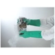 Purchase Top-Quality ANSELL - 3717511100 - Nitrile, Flock-Lined Inner Lining Gloves pa4