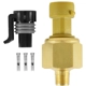 Purchase Top-Quality AEM ELECTRONICS - 30-2131-150 - Brass Sensor Kit pa2