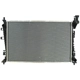 Purchase Top-Quality AGILITY - 8013087 - Radiator pa1