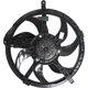 Purchase Top-Quality Radiator And Condenser Fan Assembly by AGILITY - 6010065 pa1