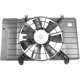 Purchase Top-Quality Radiator And Condenser Fan Assembly by AGILITY - 6017120 pa1