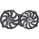 Purchase Top-Quality APDI - 6010081 - Dual Radiator and Condenser Fan Assembly pa2