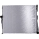 Purchase Top-Quality Radiator Assembly - BM3010143 pa3