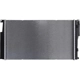 Purchase Top-Quality Radiator Assembly - BM3010182 pa3