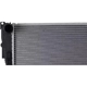Purchase Top-Quality Radiator Assembly - BM3010186 pa1