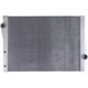 Purchase Top-Quality Radiator Assembly - BM3010187 pa1