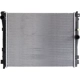 Purchase Top-Quality Radiator Assembly - BM3010194 pa1