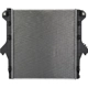 Purchase Top-Quality Radiator Assembly - CH3010303 pa3