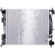 Purchase Top-Quality Radiator Assembly - HY3010184 pa2