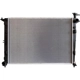Purchase Top-Quality Radiator Assembly - HY3010219 pa2