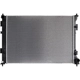Purchase Top-Quality Radiator Assembly - HY3010227 pa5