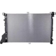 Purchase Top-Quality Radiator Assembly - NI3010224 pa1