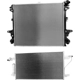 Purchase Top-Quality Radiator Assembly - NI3010247 pa1