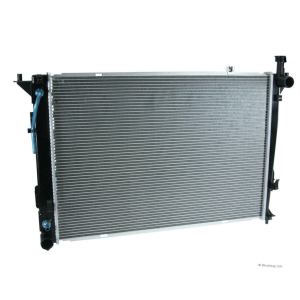Purchase Top-Quality BTK - R13194 - Radiator pa8