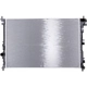 Purchase Top-Quality Radiator by BTK - R13561 pa1