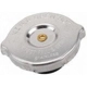 Purchase Top-Quality Radiator Cap by ACDELCO PROFESSIONAL - RC26 pa4