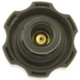 Purchase Top-Quality Radiator Cap by MOTORAD - T61 pa13