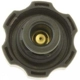 Purchase Top-Quality Radiator Cap by MOTORAD - T61 pa6