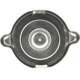 Purchase Top-Quality Radiator Cap by MOTORAD - T7 pa9