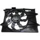 Purchase Top-Quality Radiator Cooling Fan Assembly - KI3115146 pa1